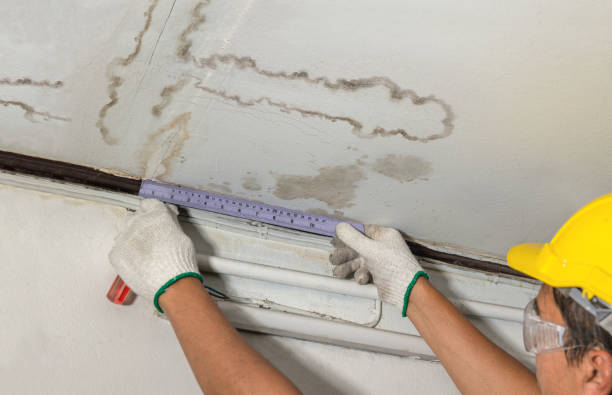 Reliable Mold Remediation contractor in Hillsboro, IL by Water Damage Irwin